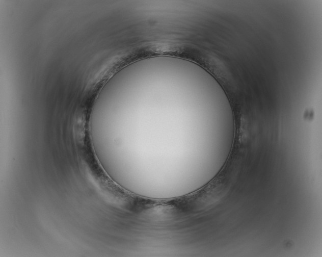 X0000113220210200910011353