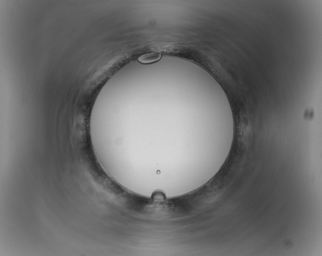 X0000113220211200910011353