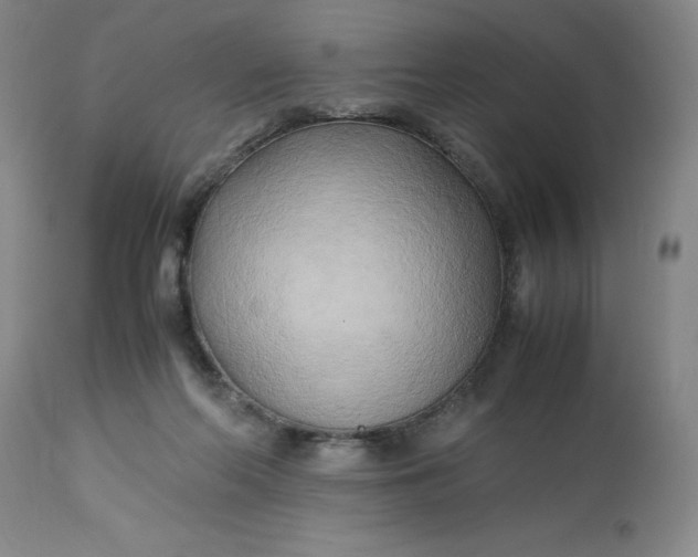 X0000113220214200910011353