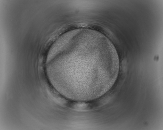 X0000113220217200910011353