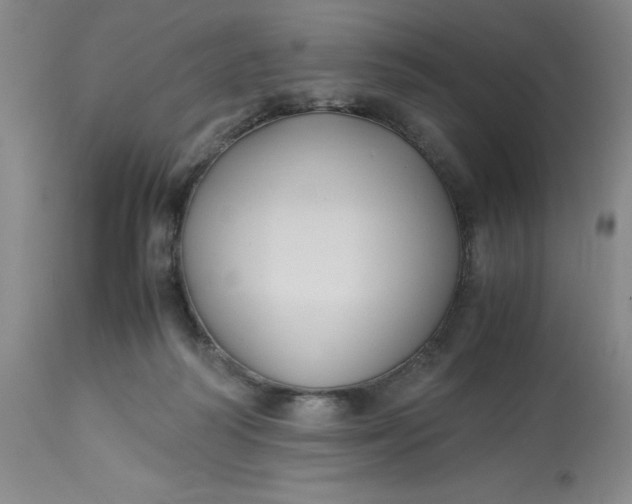 X0000113220218200910011353