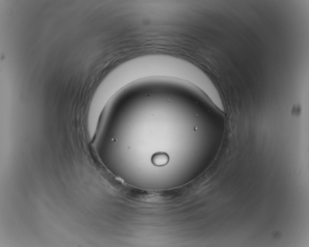 X0000113220219200910011353