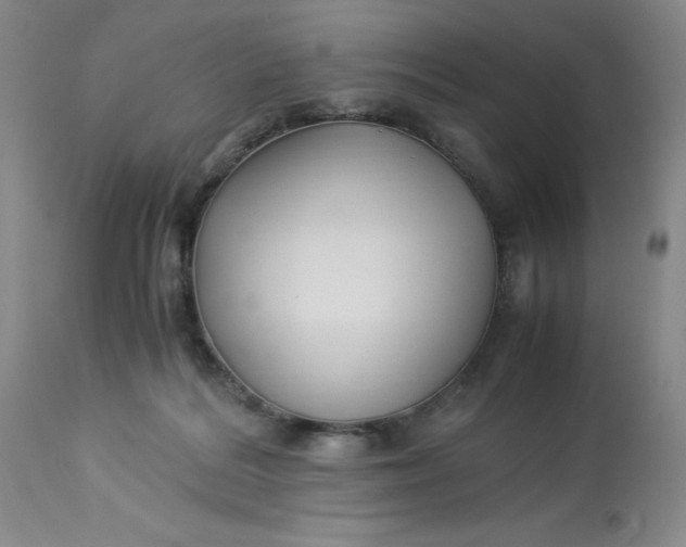 X0000113220220200910011353