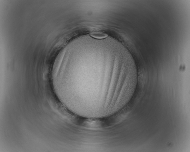 X0000113220221200910011353