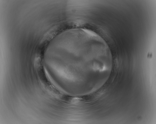 X0000113220222200910011353