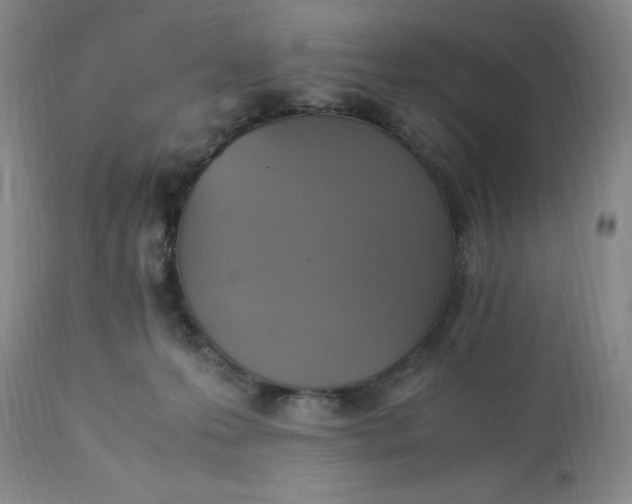 X0000113220223200910011353