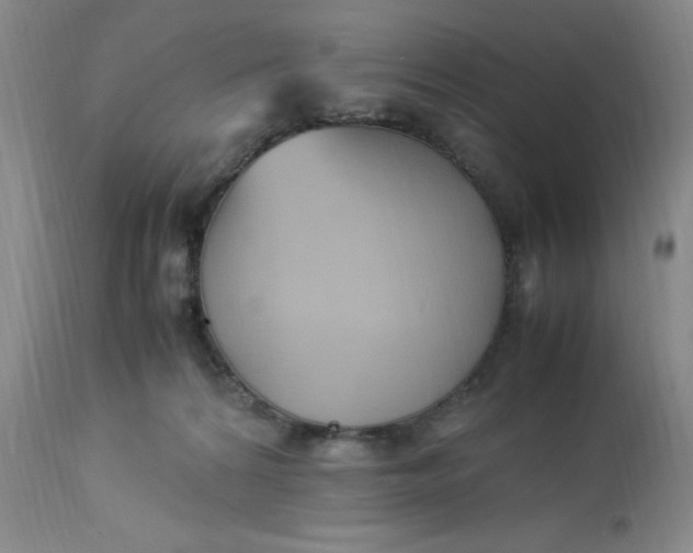 X0000113220224200910011353