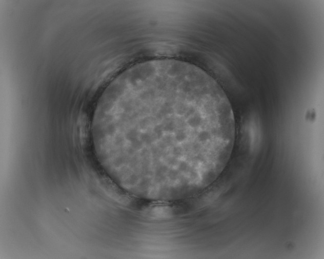 X0000113220228200910011353