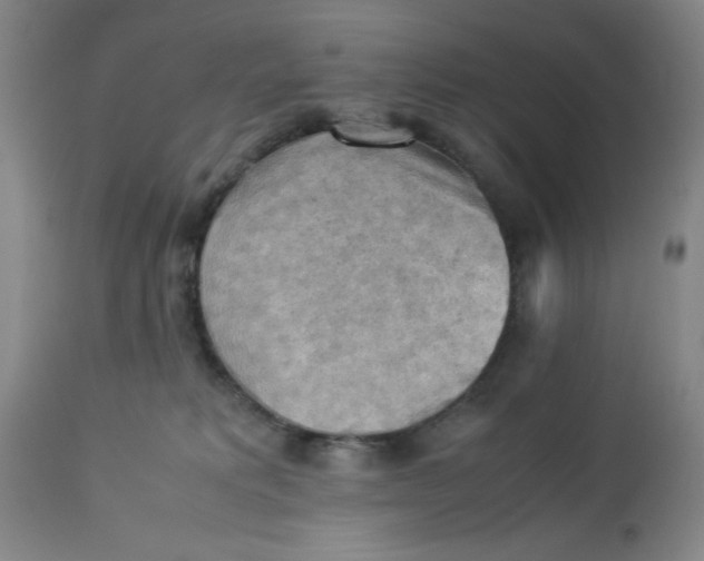 X0000113220229200910011353