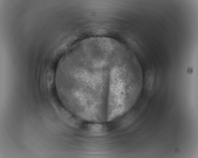 X0000113220230200910011353