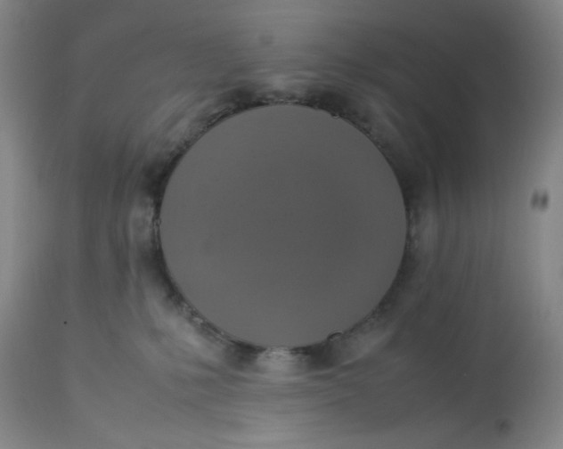 X0000113220231200910011353