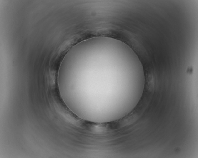 X0000113220232200910011353