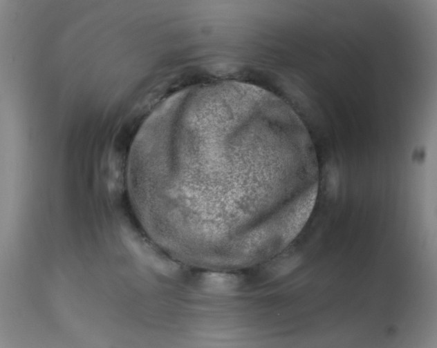 X0000113220234200910011353