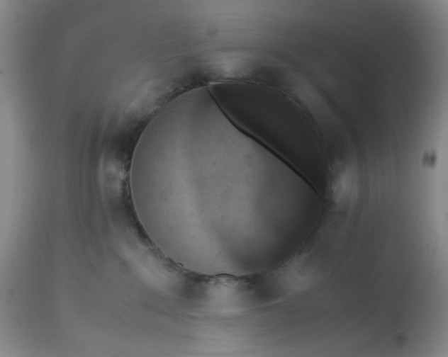 X0000113220235200910011353