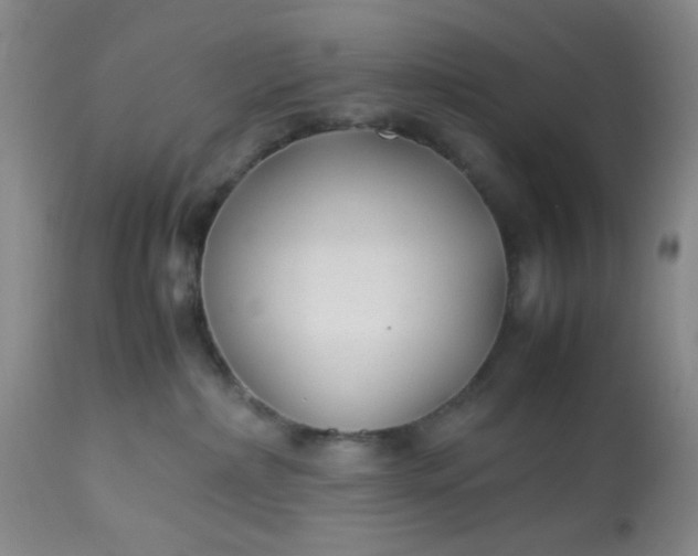 X0000113220236200910011353