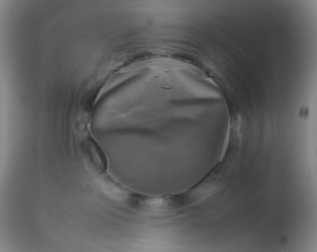 X0000113220237200910011353