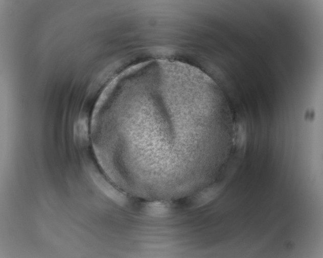 X0000113220238200910011353