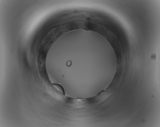 X0000113220239200910011353