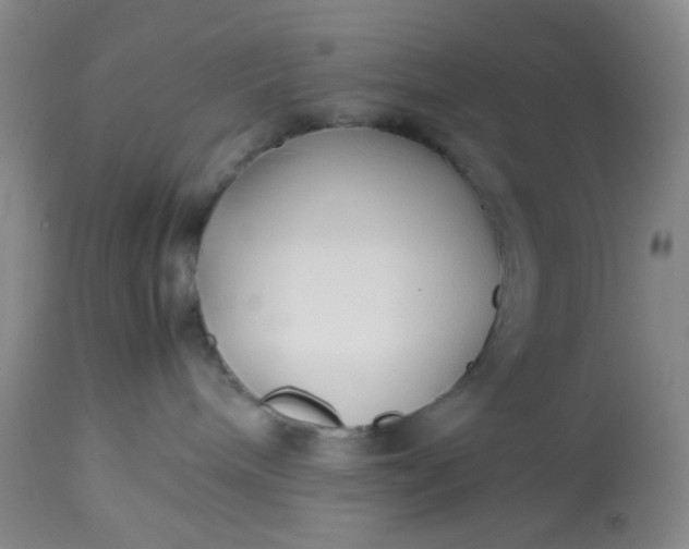 X0000113220240200910011353