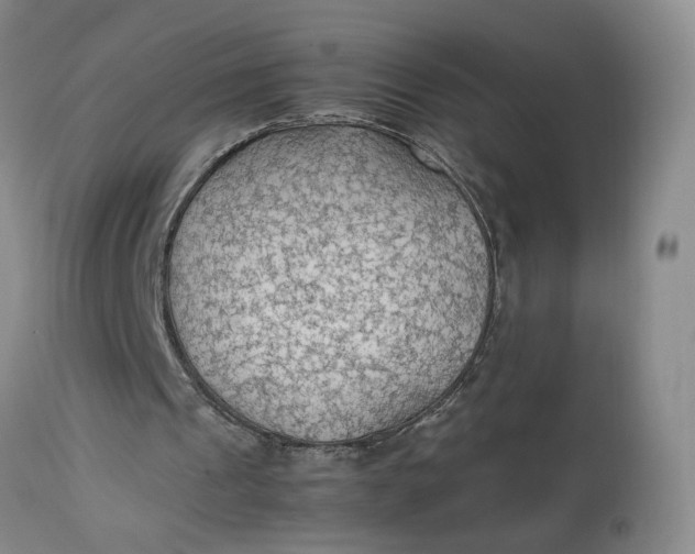 X0000113220241200910011352