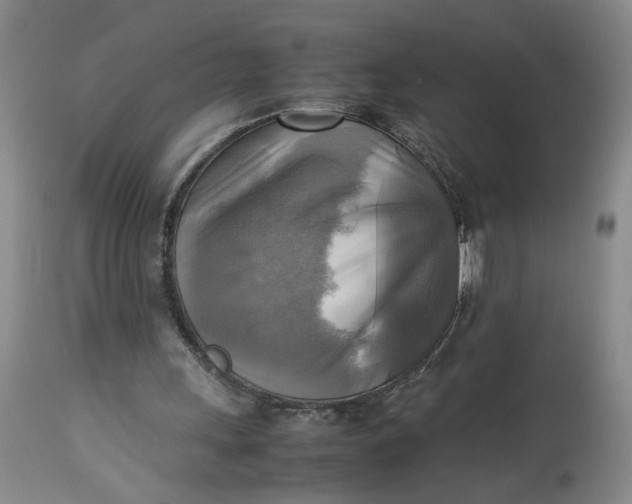 X0000113220243200910011352