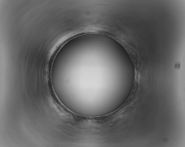 X0000113220244200910011352