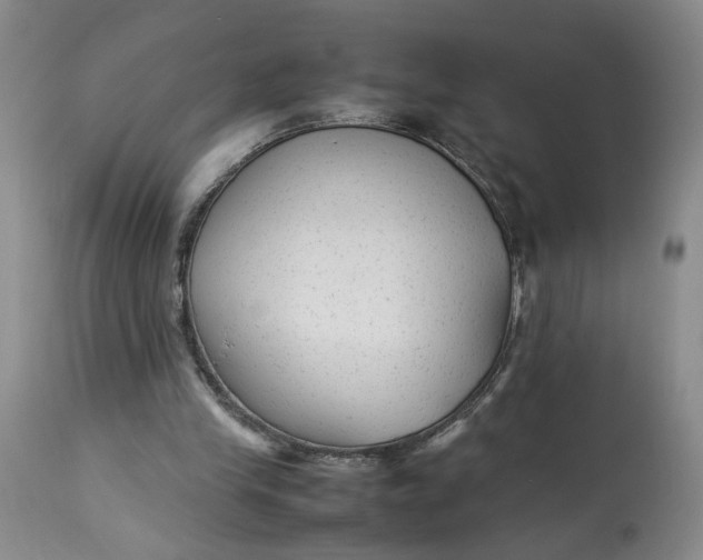 X0000113220245200910011352