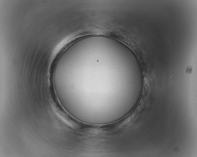 X0000113220246200910011352