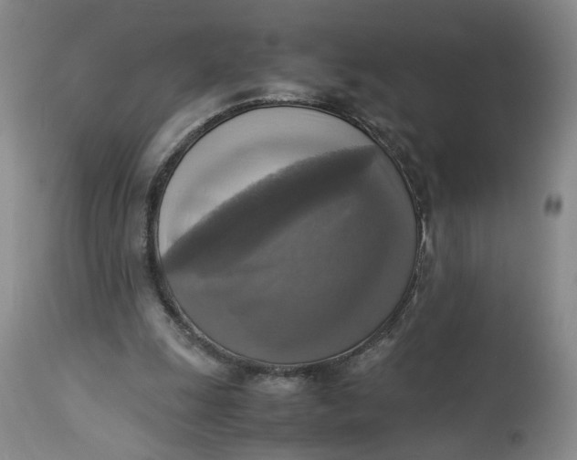 X0000113220247200910011352