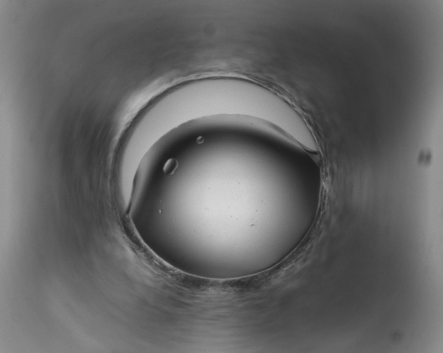 X0000113220248200910011352