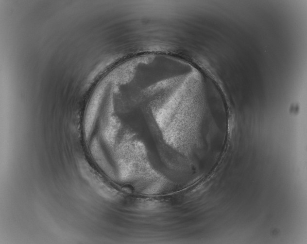 X0000113220249200910011352