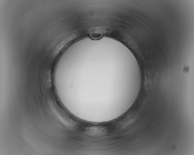 X0000113220251200910011352