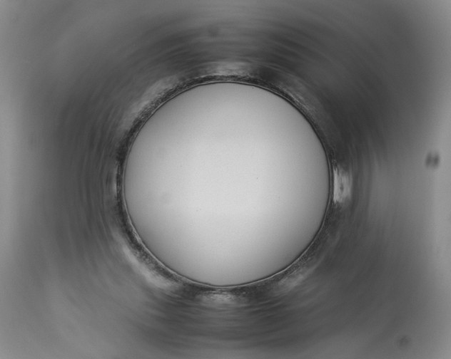 X0000113220253200910011352