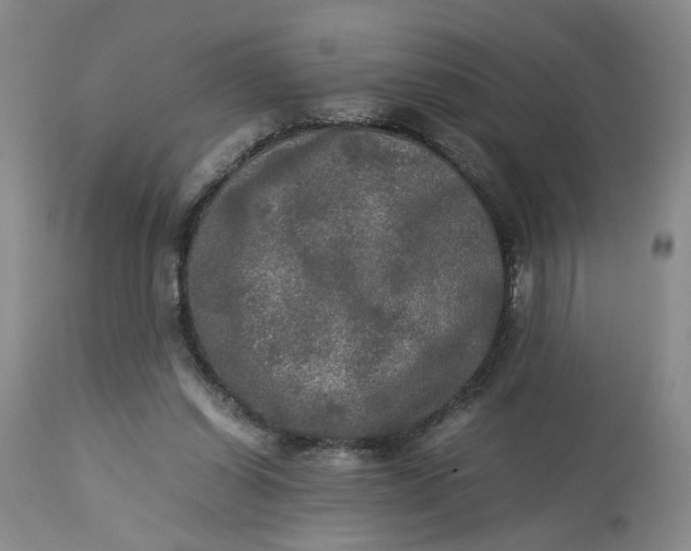 X0000113220254200910011352