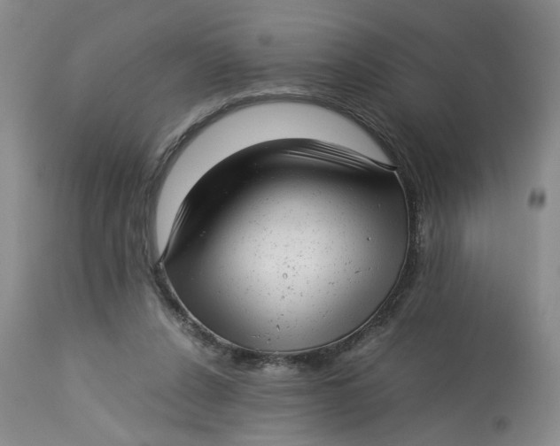 X0000113220256200910011352