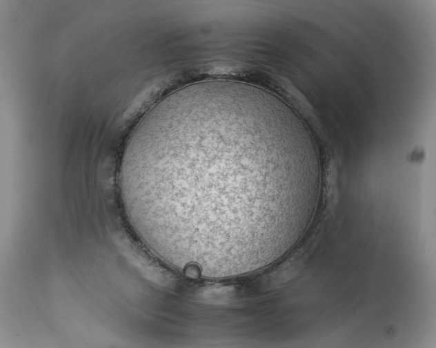 X0000113220257200910011352