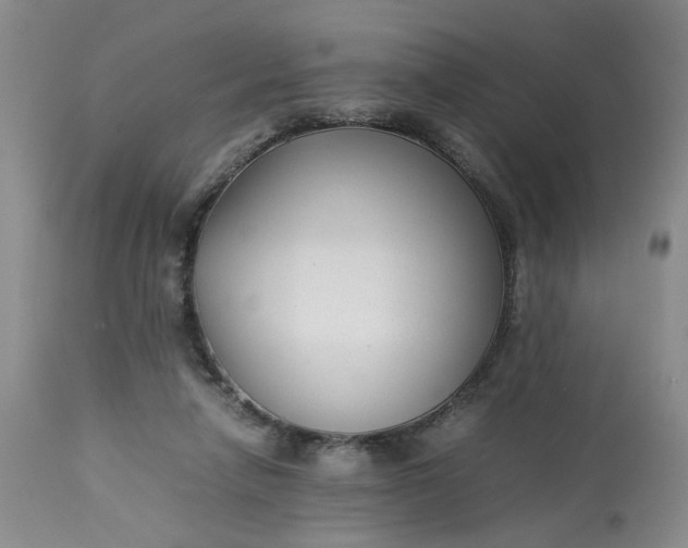 X0000113220258200910011352