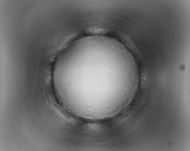 X0000113220259200910011352