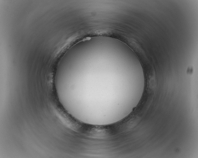 X0000113220260200910011352