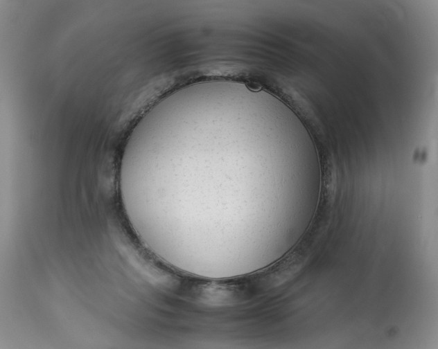 X0000113220261200910011352