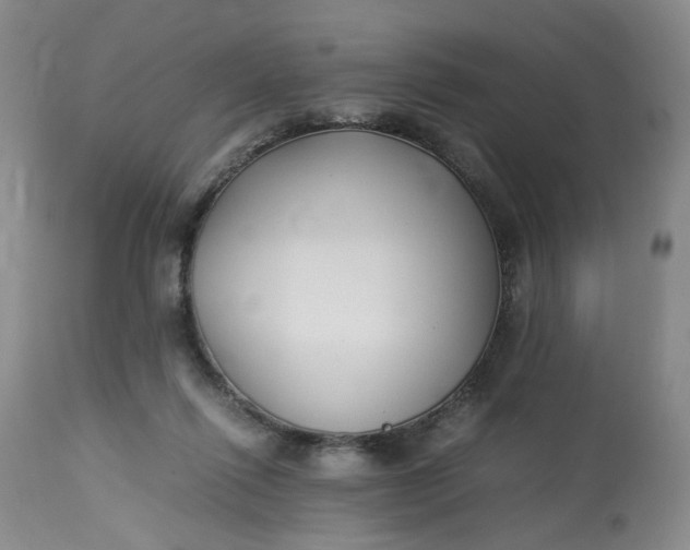 X0000113220262200910011352