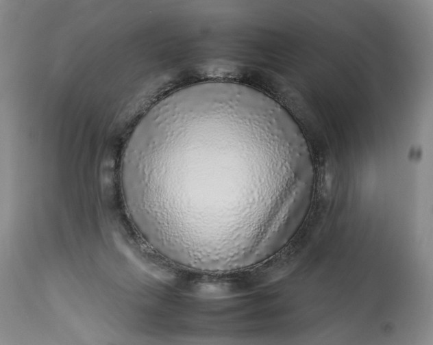 X0000113220263200910011352