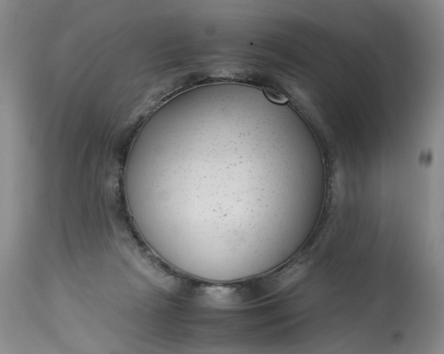 X0000113220265200910011353