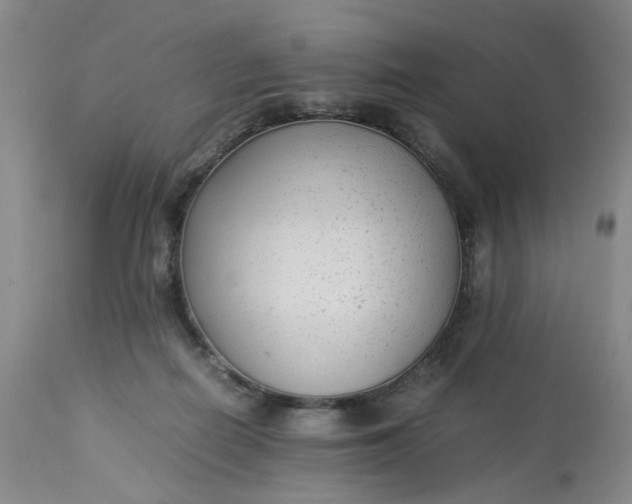 X0000113220266200910011353