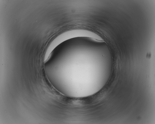 X0000113220268200910011353