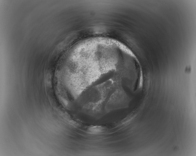 X0000113220269200910011353