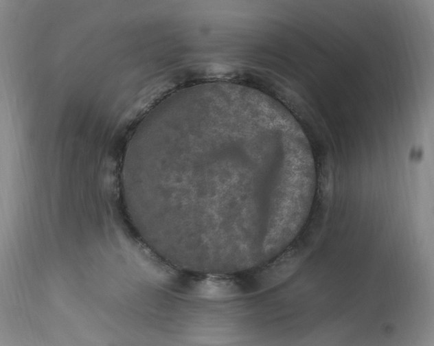 X0000113220270200910011353