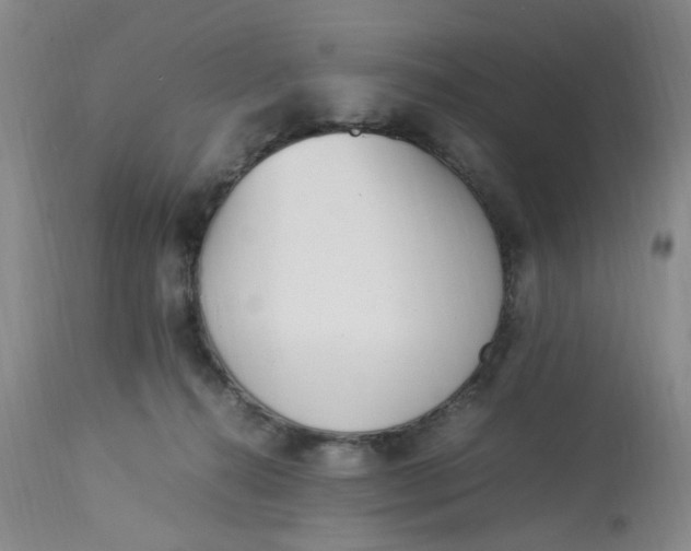 X0000113220272200910011353