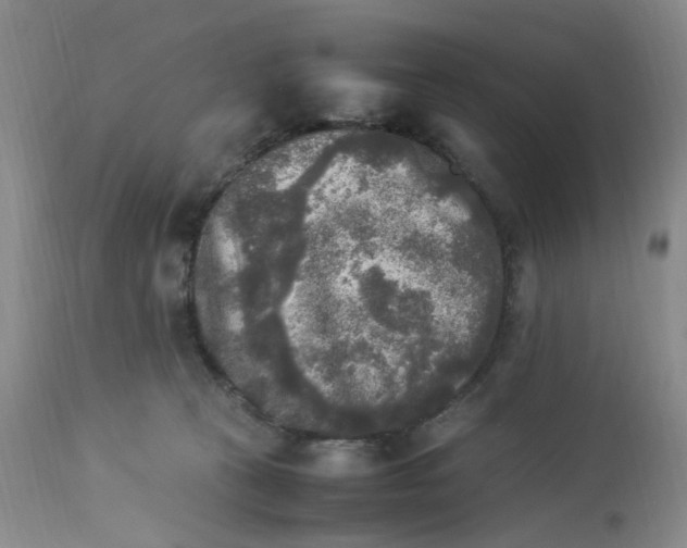 X0000113220273200910011353