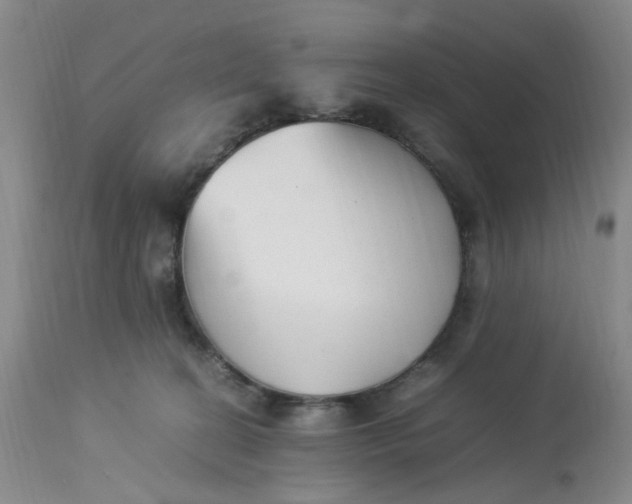 X0000113220274200910011353